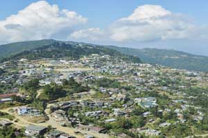 Image of Peren