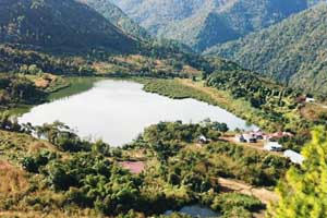 Image of Phek